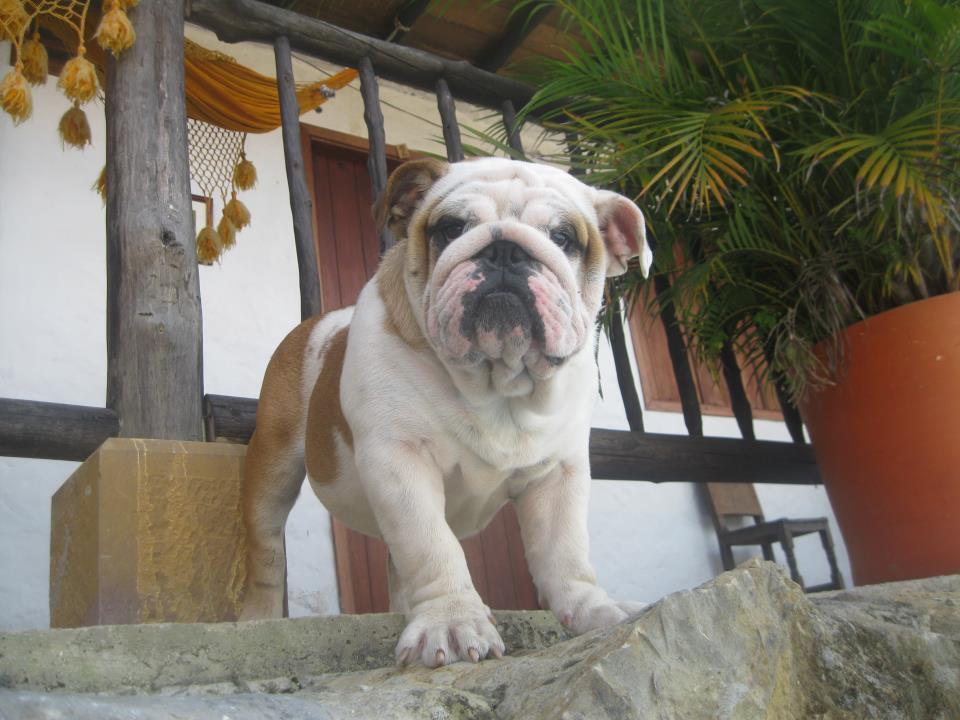 Hotel Terrazas De La Candelaria San Gil Zewnętrze zdjęcie